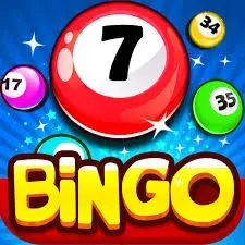 Bingo img